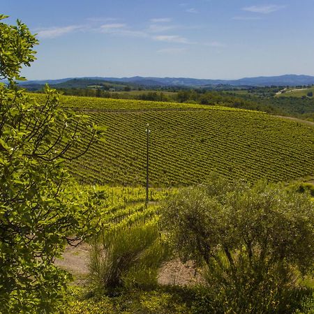 Villa Fattoria Di Magliano Winery Magliano in Toscana Habitación foto
