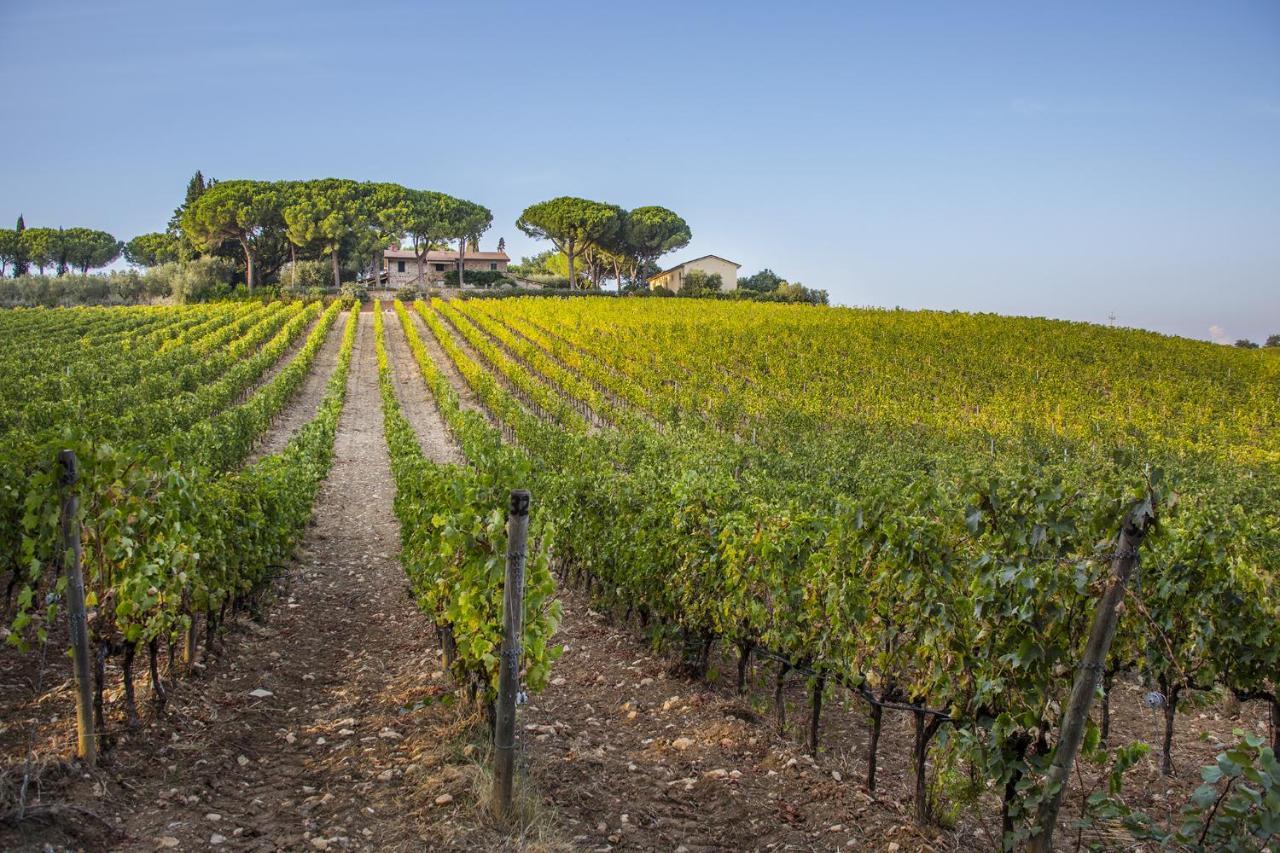 Villa Fattoria Di Magliano Winery Magliano in Toscana Exterior foto
