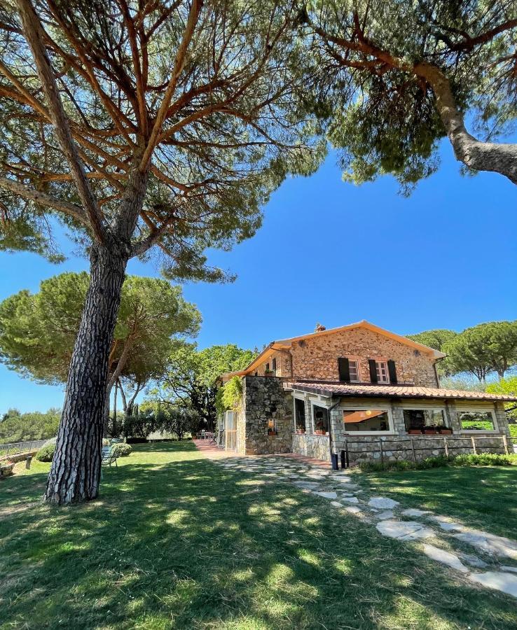 Villa Fattoria Di Magliano Winery Magliano in Toscana Exterior foto