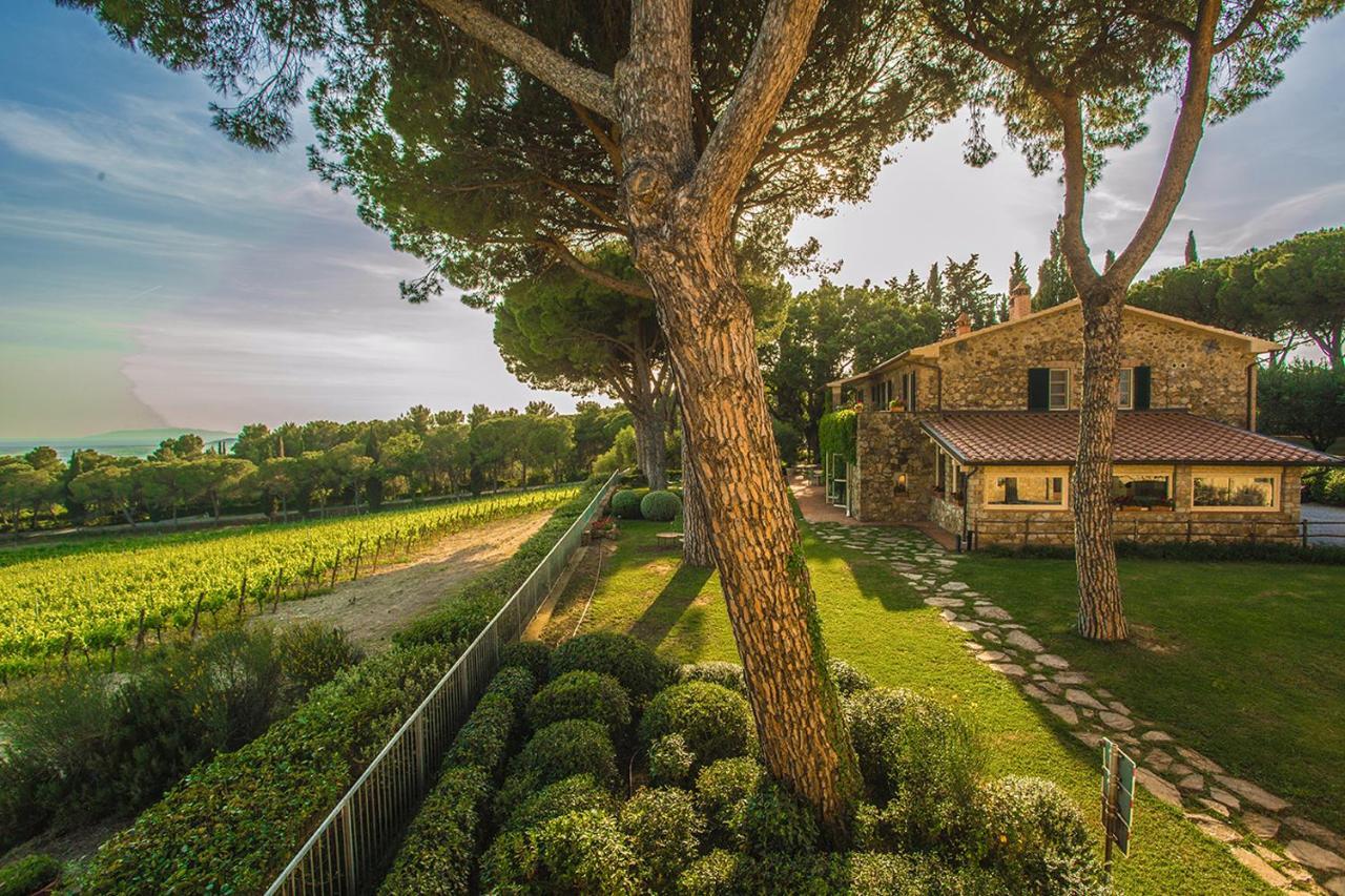 Villa Fattoria Di Magliano Winery Magliano in Toscana Exterior foto
