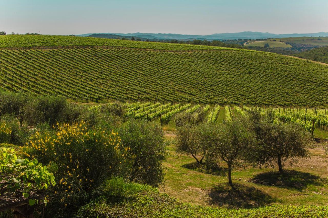 Villa Fattoria Di Magliano Winery Magliano in Toscana Exterior foto