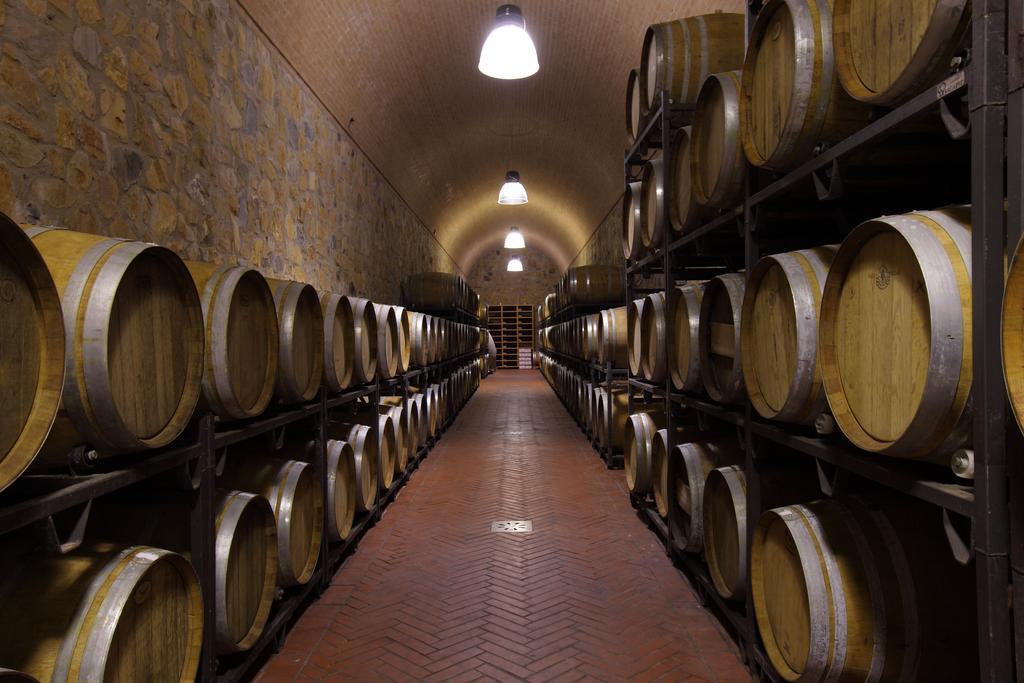 Villa Fattoria Di Magliano Winery Magliano in Toscana Exterior foto